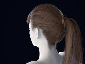 Realistic Female Hair Low-poly 3D Model