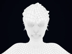 Realistic Female Hair Low-poly 3D Model