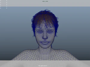 Realistic Female Hair Low-poly 3D Model