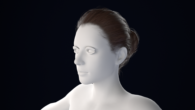 Realistic Female Hair Low-poly 3D Model .c4d .max .obj .3ds .fbx .stl .blend
