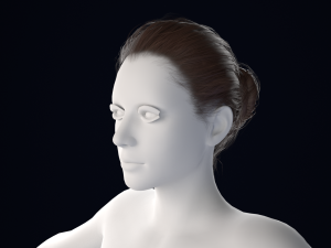 Realistic Female Hair Low-poly 3Dモデル