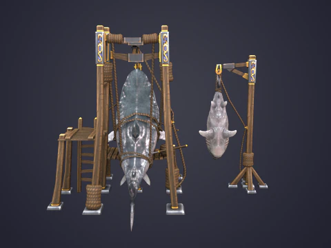 Capture Sharks 3D Model