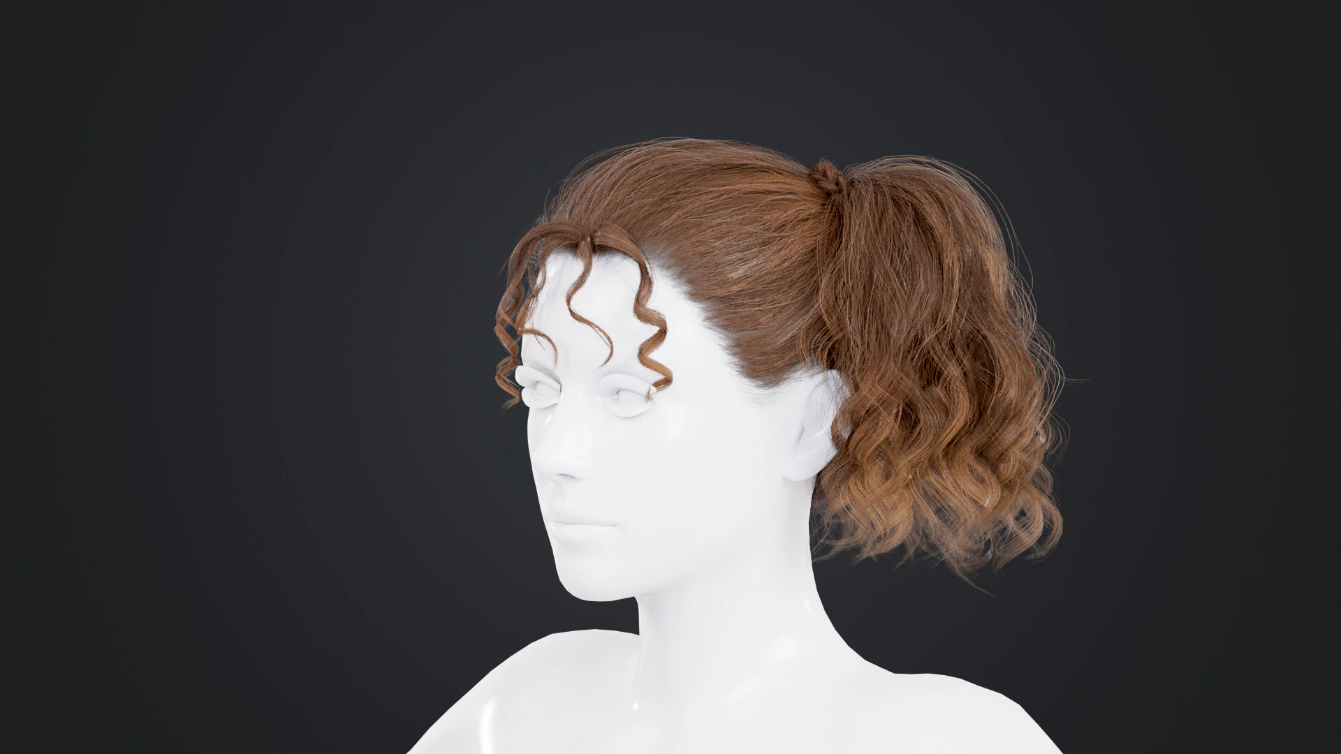 Female Hair 3D Model .c4d .max .obj .3ds .fbx .stl .blend 
