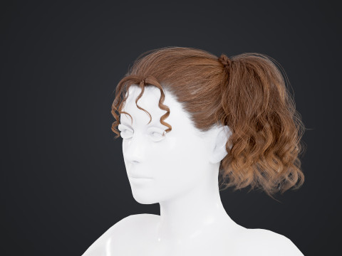 Female Hair 3D Model