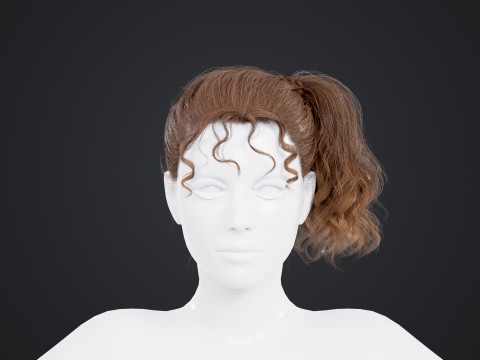 Female Hair Modello 3D