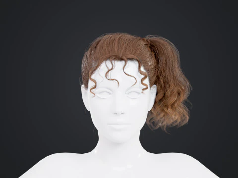 Female Hair 3D Model