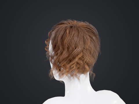 Female Hair Modello 3D