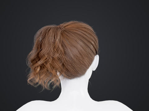 Female Hair Modello 3D