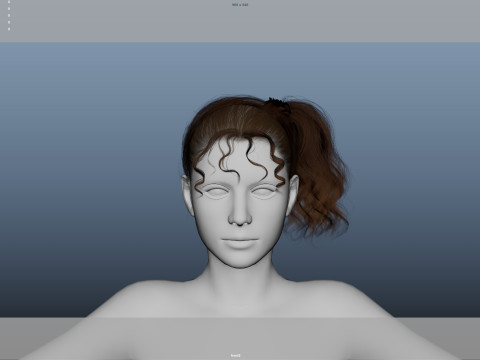 Female Hair Modello 3D