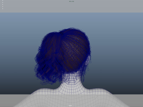 Female Hair Modello 3D