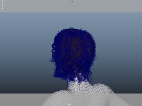 Female Hair Modello 3D