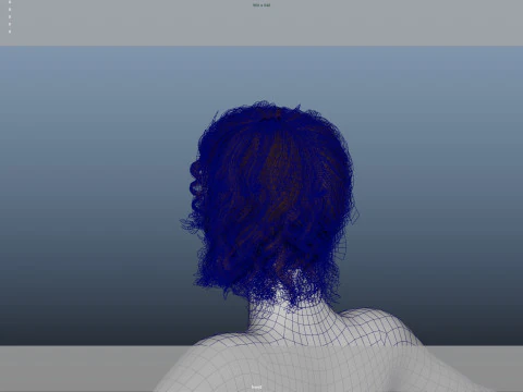 Female Hair 3D Model