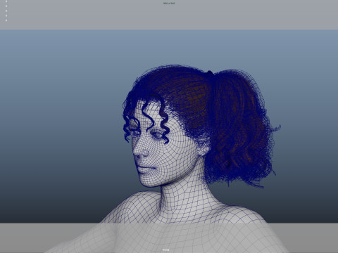 Female Hair Modello 3D