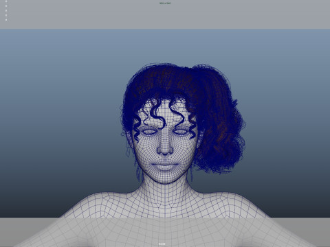 Female Hair Modello 3D