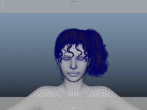 Female Hair 3D Model