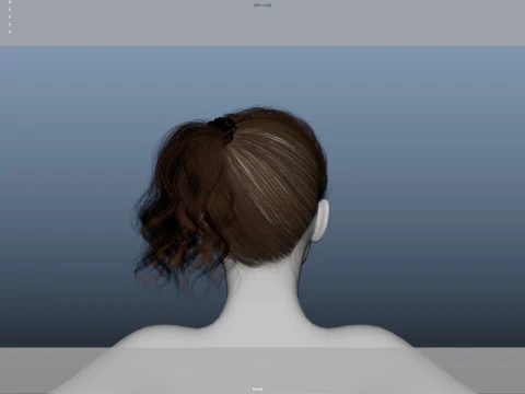 Female Hair 3D Model