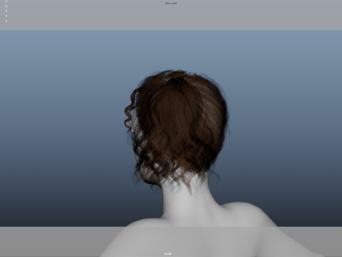 Female Hair Modello 3D