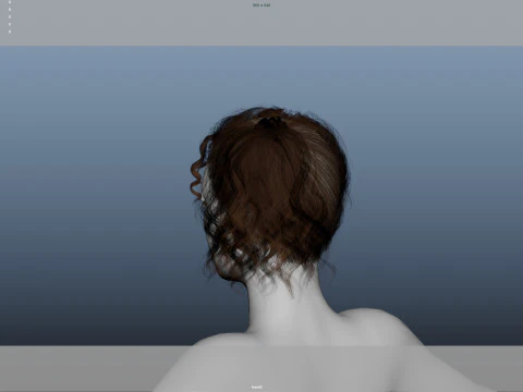 Female Hair 3D Model