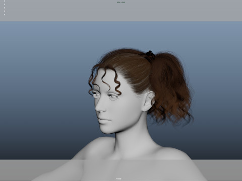 Female Hair Modello 3D
