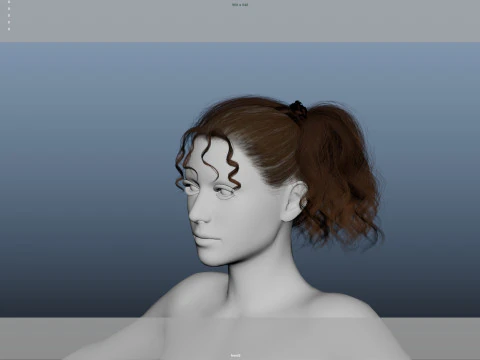 Female Hair 3D Model