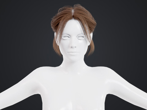 Female Hair 3D Model