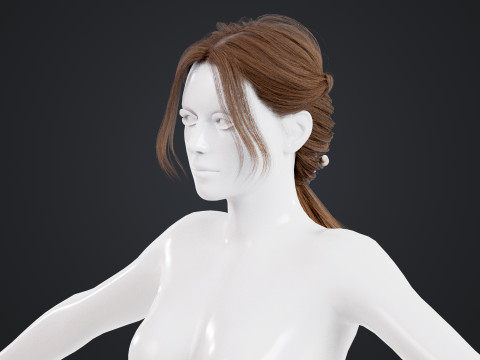 Female Hair 3D Model