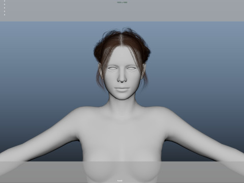 Female Hair 3D Model