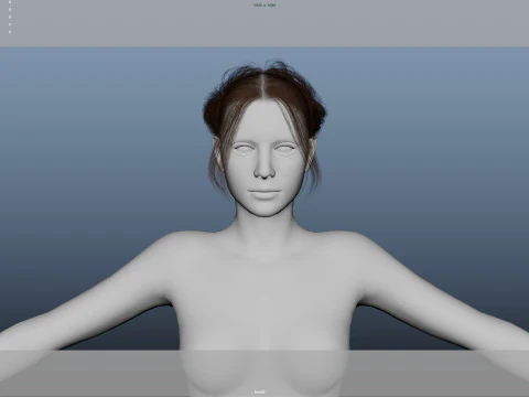 Female Hair 3D Model