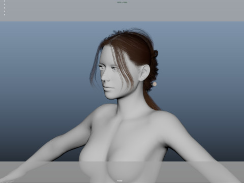 Female Hair 3D Model