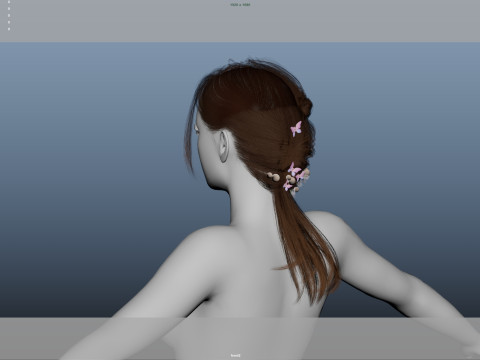 Female Hair 3D Model