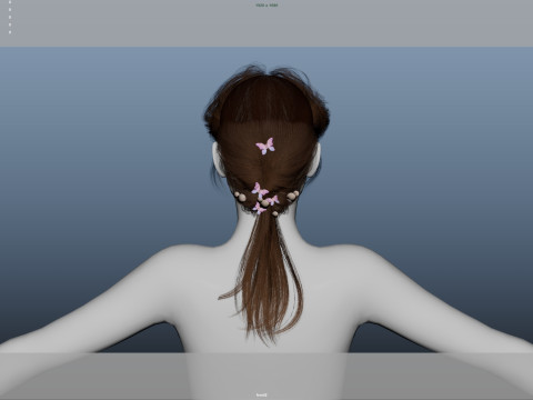 Female Hair 3D Model