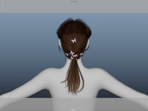 Female Hair 3D Model