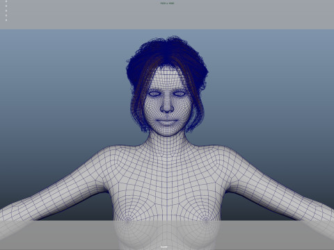 Female Hair 3D Model
