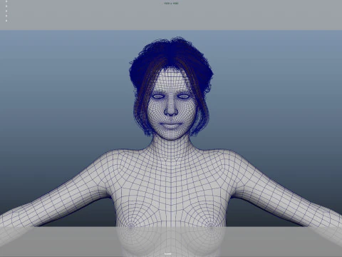 Female Hair 3D Model