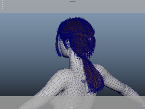 Female Hair 3D Model
