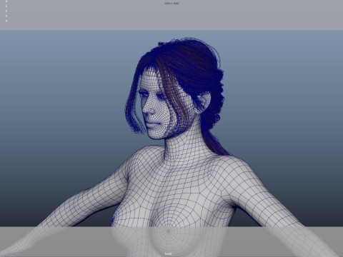 Female Hair 3D Model