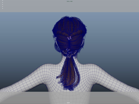 Female Hair 3D Model