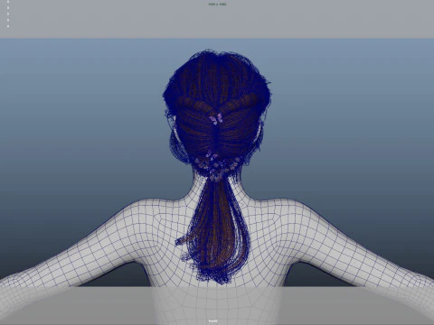 Female Hair 3D Model