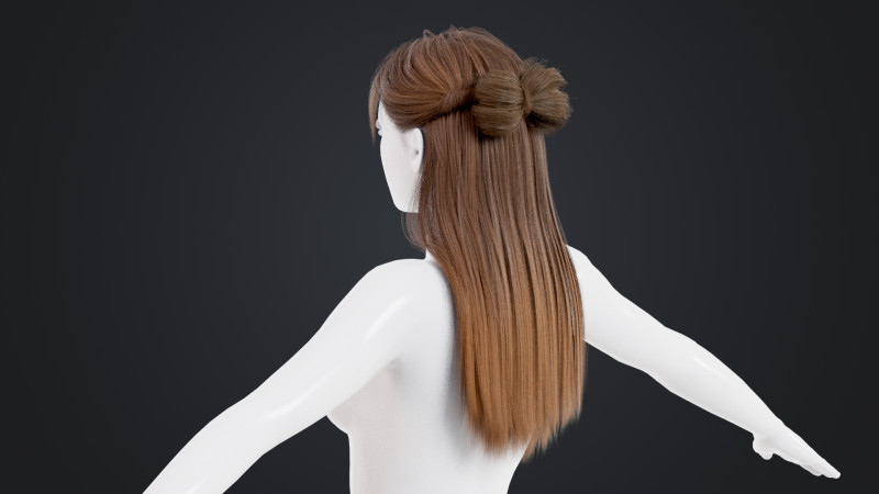 Female Hair 3D Model .c4d .max .obj .3ds .fbx .stl .blend