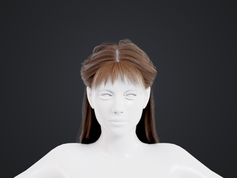 Female Hair 3D Model