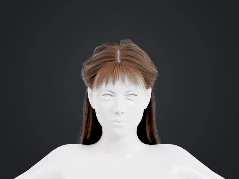 Female Hair 3D Model