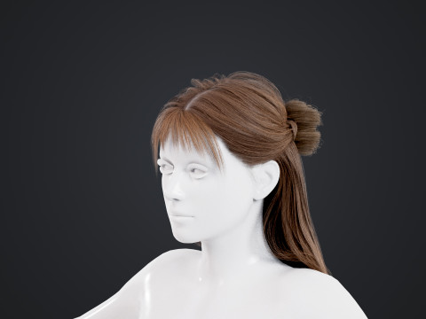 Female Hair 3D Model