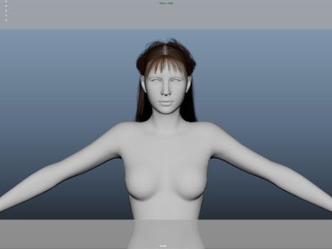 Female Hair 3D Model