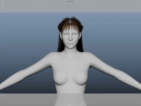 Female Hair 3D Model