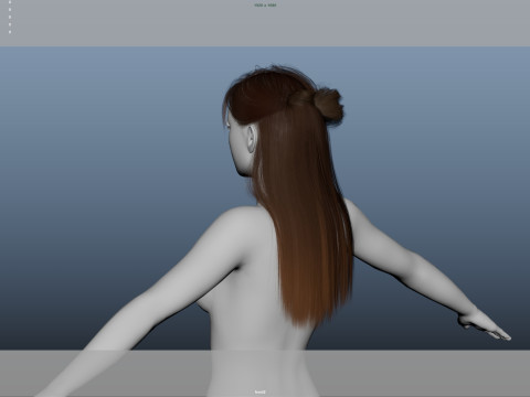Female Hair 3D Model