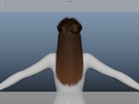 Female Hair 3D Model