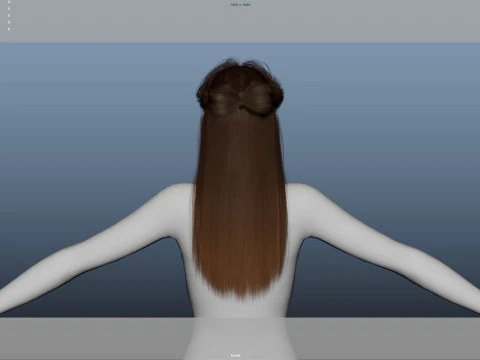 Female Hair 3D Model