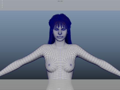 Female Hair 3D Model