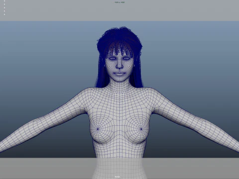 Female Hair 3D Model