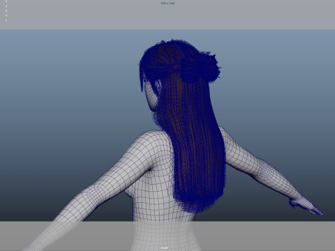 Female Hair 3D Model